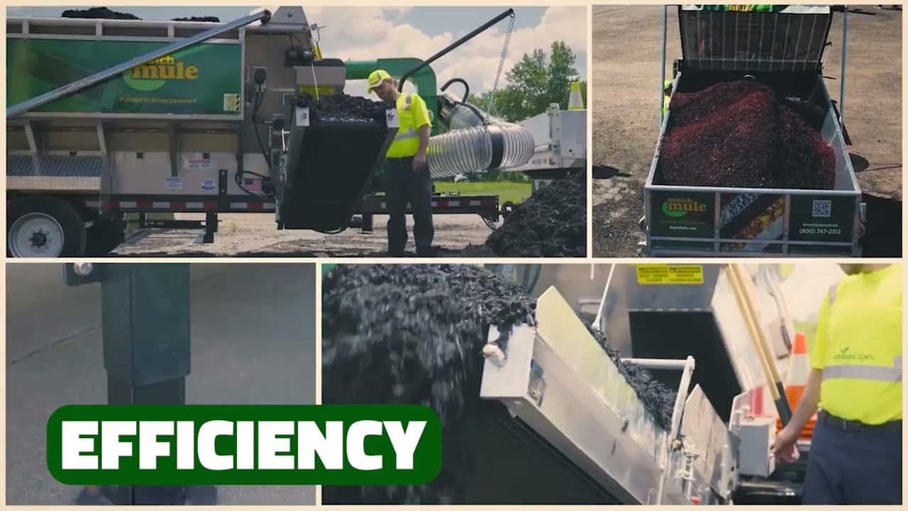 What Owners Say video