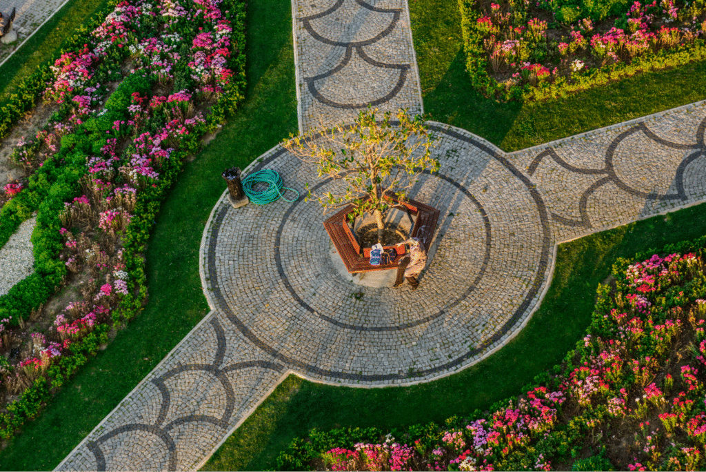Aerial view of a vibrant garden pathway surrounded by colorful flowers.