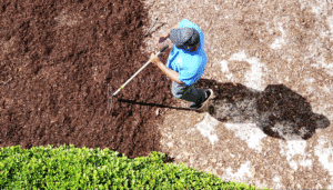 Gardener using tools to maintain a vibrant and healthy landscape.