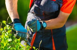 Gardening tools: essential equipment for every enthusiastic gardener.