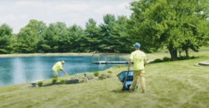 Landscape maintenance workers tending to a lush pondside garden.