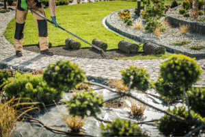 Landscaping expert preparing outdoor spaces with pathways and decorative plants.