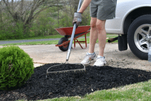 Man using a rake to spread mulch in a beautifully landscaped garden.