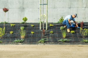 Expert gardener planting diverse flora in a sustainable landscaping project.