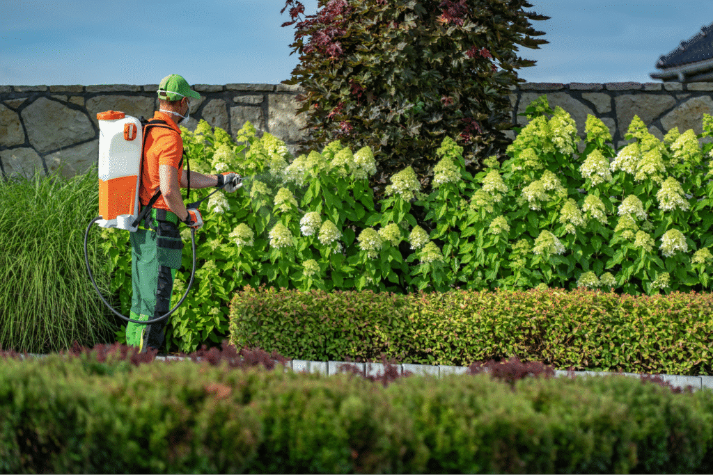 Landscaper in protective clothing as he sprays pest control