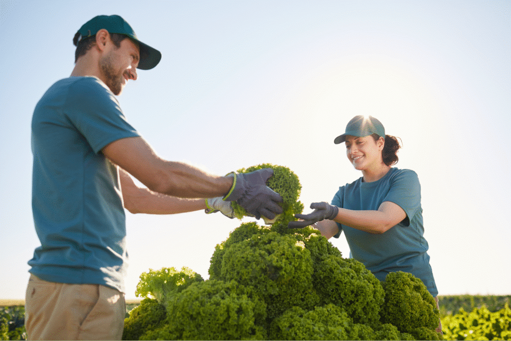 Landscapers working together under sunny skies.