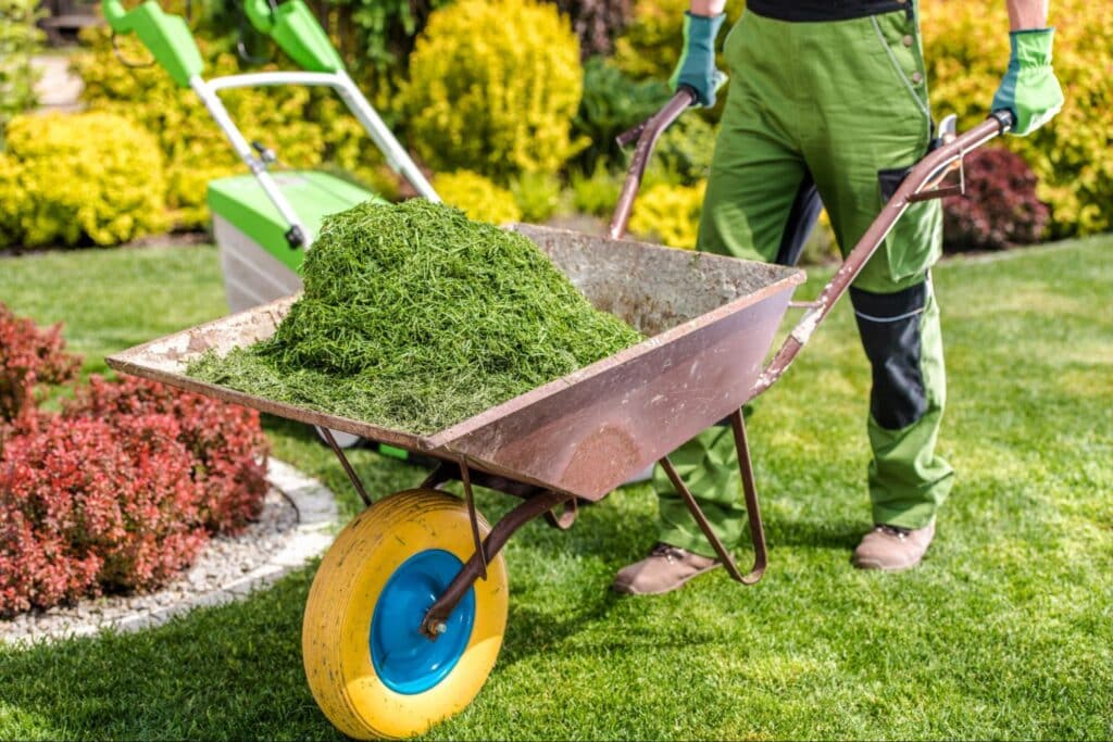 Gardener pushing a wheelbarrow filled with fresh grass clippings in a vibrant yard.