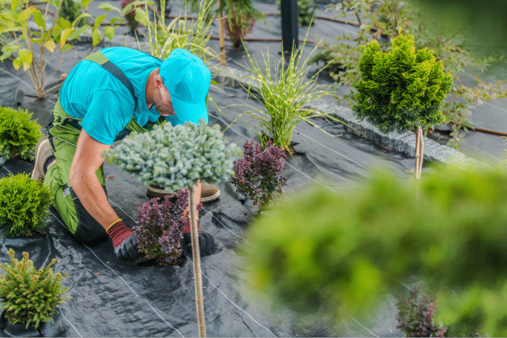 Gardener tending to plants in a vibrant nursery filled with greenery.