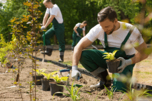 Professional gardeners planting young plants in a sunny, vibrant outdoor landscape.