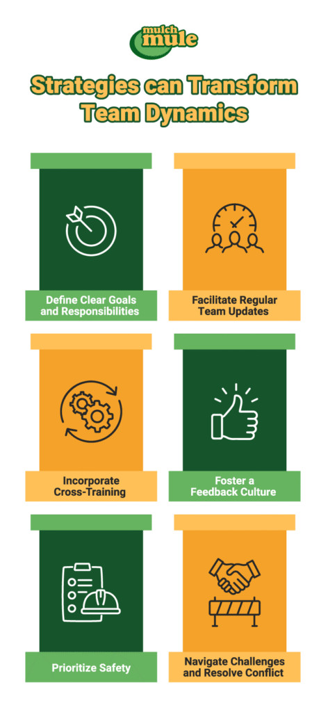 Effective strategies to enhance team dynamics and improve collaboration in the workplace.