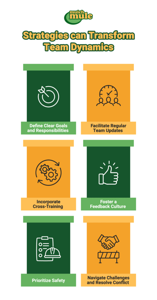 Transform team dynamics with effective strategies for communication, safety, and collaboration.