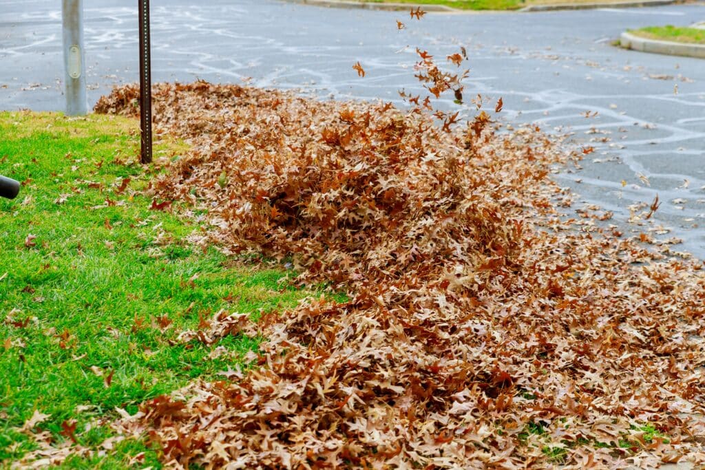 Man using a leaf blower to clear vibrant autumn leaves on a sunny day.
