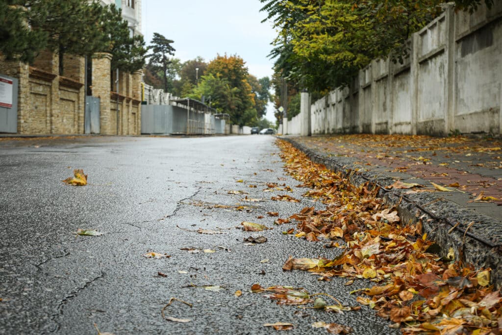 Autumn leaves blanket a wet road in a rainy city park morning scene.