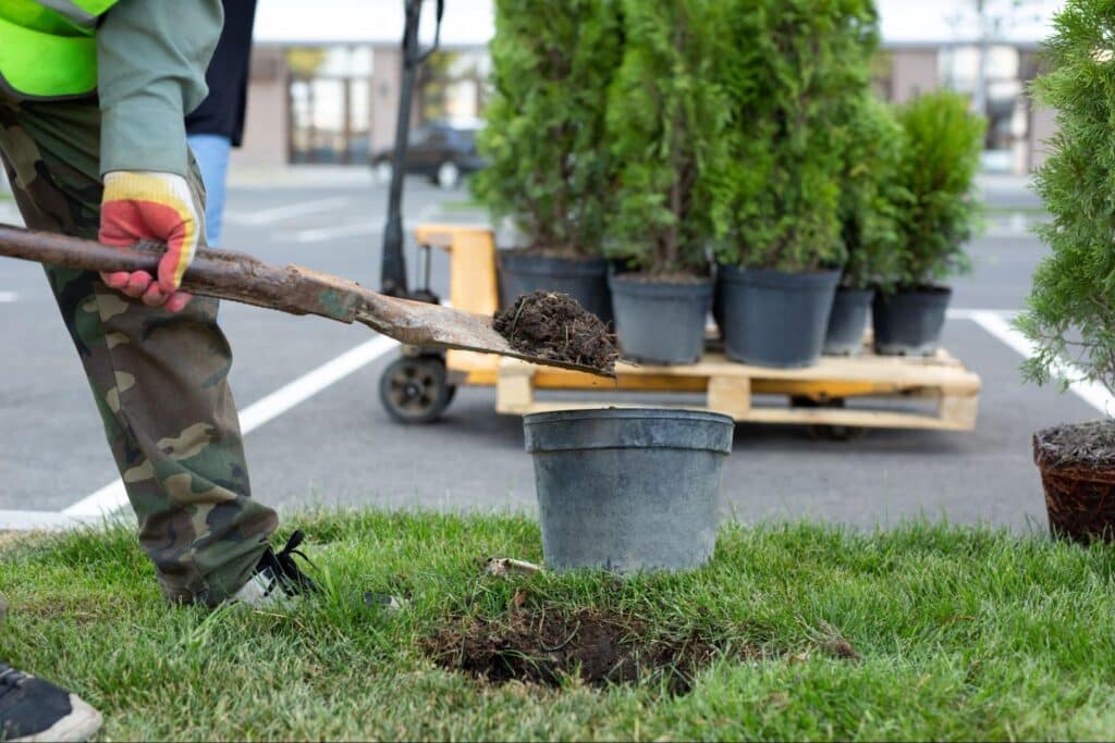 Gardener planting trees in pots, enhancing landscaping and outdoor aesthetics.