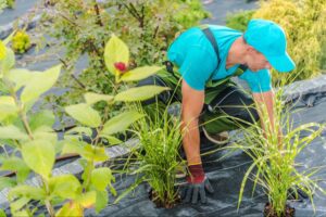 Gardener planting flowers in a lush landscape with focus on greenery and care.