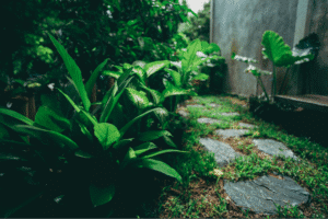 Lush garden pathway with green plants and stone tiles in a tranquil outdoor space.