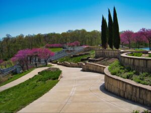 Scenic park pathway with vibrant pink flowers and lush greenery in spring.