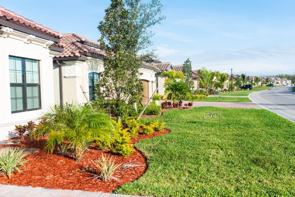Vibrant home gardens showcase lush landscapes and beautiful curb appeal in a sunny neighborhood.