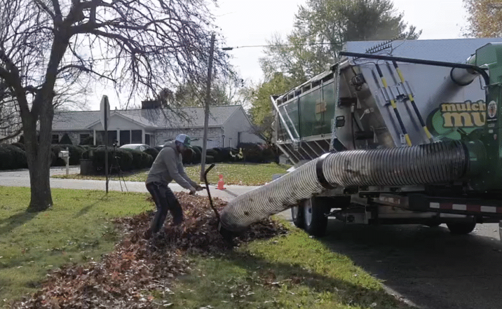 Lawn care service collecting leaves using the Billy Goat vacuum attachment on the Mulch Mule trailer.