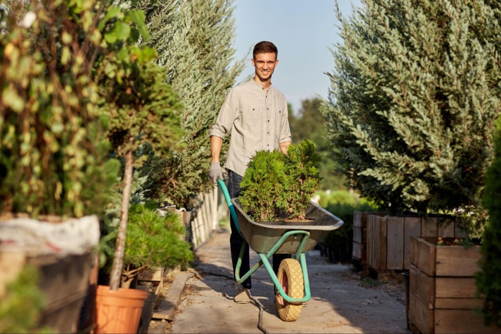 Gardener transporting a healthy plant in a wheelbarrow conveying landscaping business profitability concept