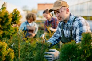 Gardener tending to plants with colleagues in greenhouse, focusing on greenery care.