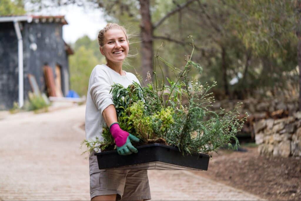Happy gardener carrying a tray of vibrant plants outdoors.