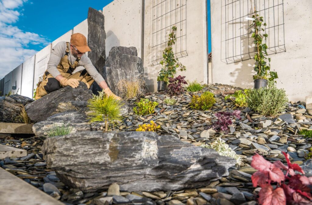 Landscaping enthusiast arranging colorful plants and stones in a modern garden setting.