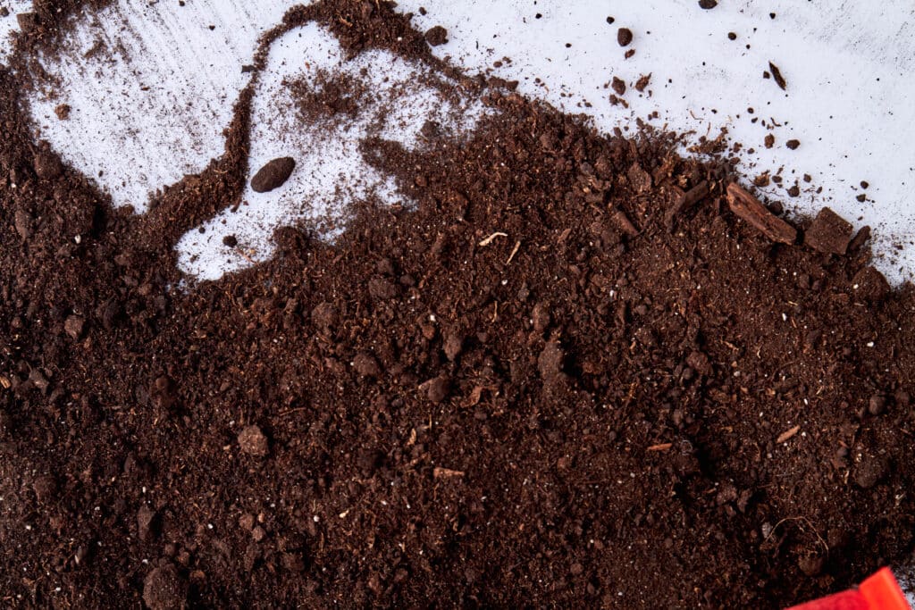 Rich potting soil texture on a white background, ideal for gardening projects.