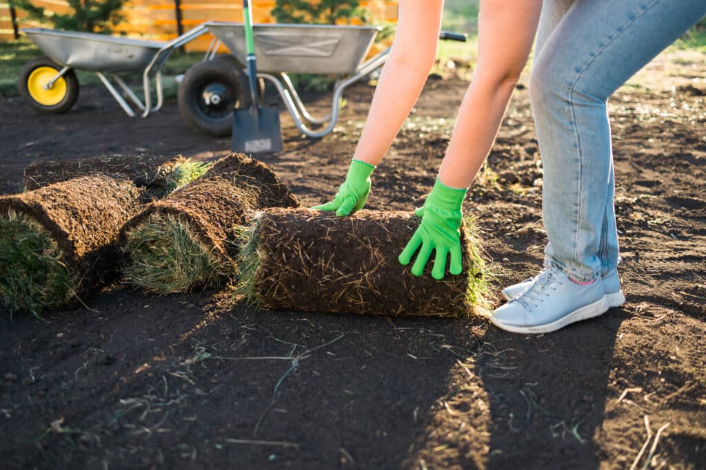 Woman laying sod for a lush new garden lawn with green gloves.