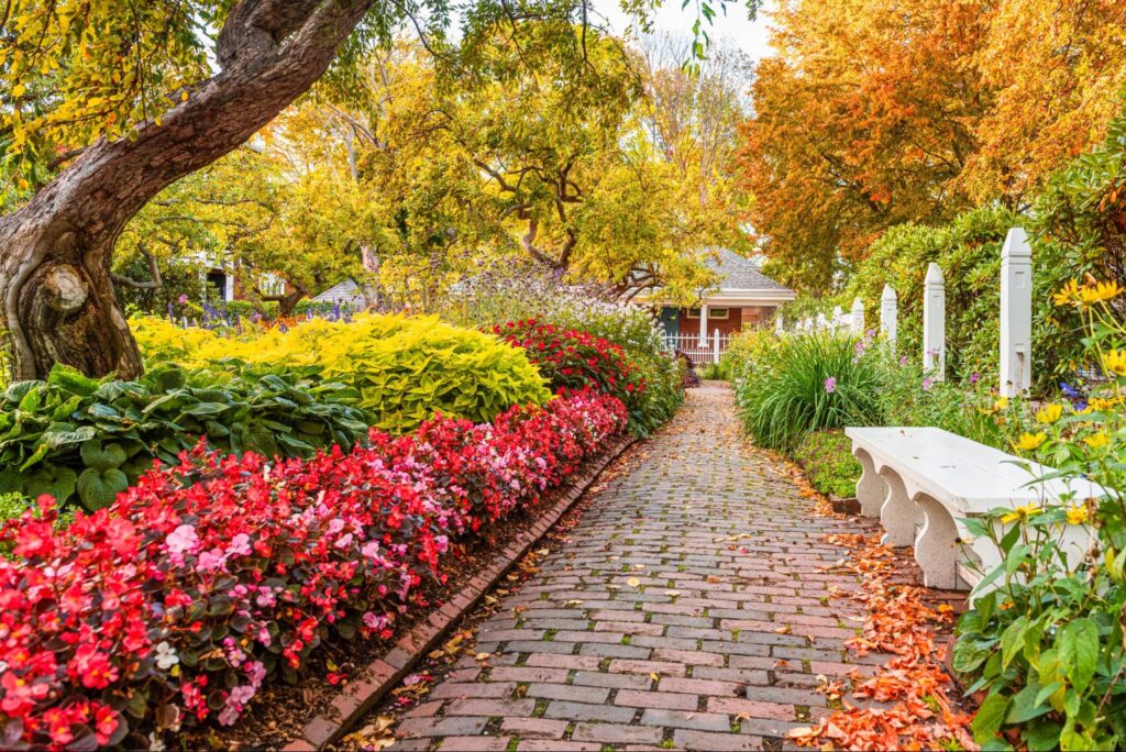 Vibrant autumn garden pathway adorned with colorful flowers and golden foliage.