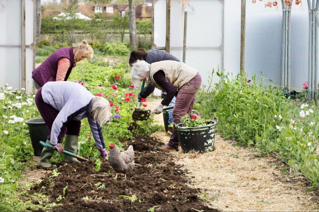 Volunteers work together to cultivate flowers in a thriving community garden.