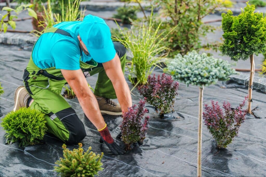 Gardener planting colorful shrubs for a vibrant and sustainable landscape.