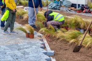 Landscaping crew installing vibrant ornamental grasses for a beautiful outdoor design.