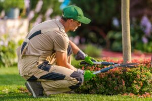 Gardener trimming bushes in a vibrant, well-maintained garden setting.