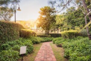 Sunlit garden pathway surrounded by lush greenery and inviting trees.