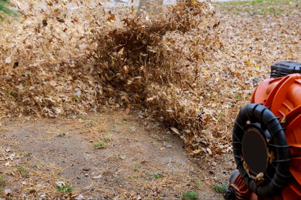Efficient leaf blower removing scattered autumn leaves from a yard.