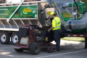 Efficient mulch delivery with Mulch Mule equipment for landscaping projects.