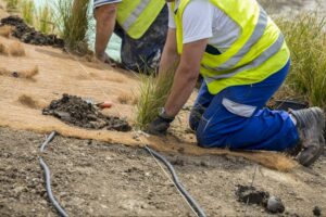 Workers cultivating grass for eco-friendly landscape restoration project.