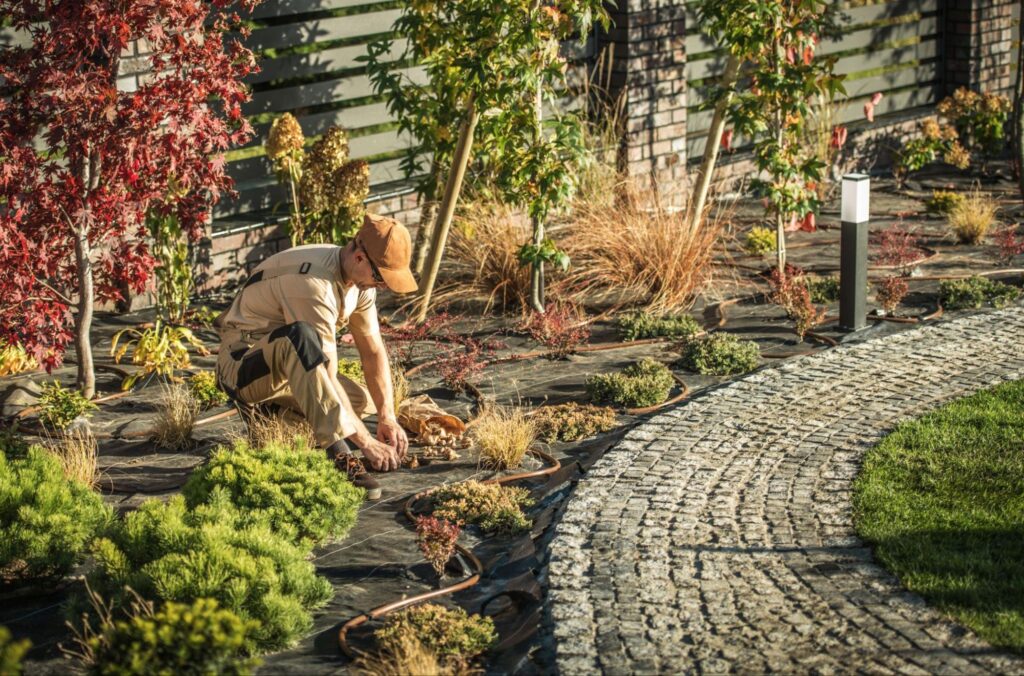 Gardener designing a colorful landscape with diverse plants and thoughtful arrangements.