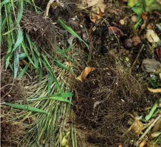 Compost
